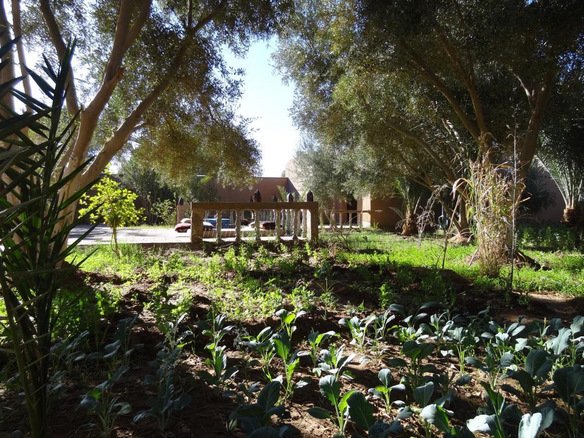 Bed and Breakfast Hamada Du Draa M'Hamid El Ghizlane Exterior foto