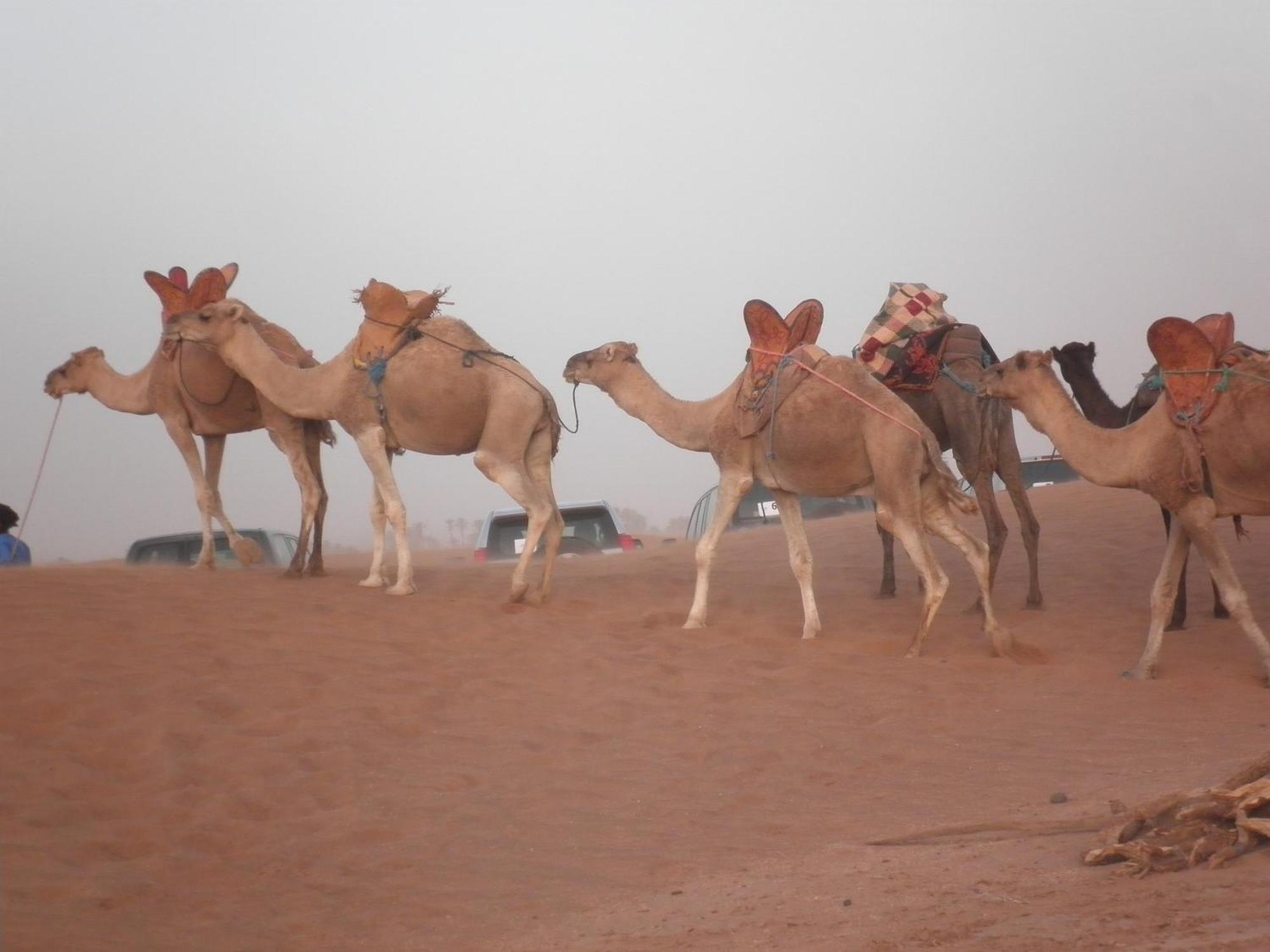 Bed and Breakfast Hamada Du Draa M'Hamid El Ghizlane Exterior foto