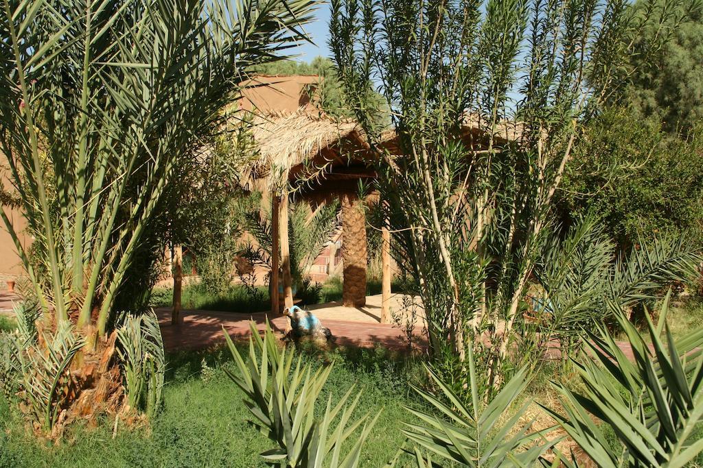 Bed and Breakfast Hamada Du Draa M'Hamid El Ghizlane Exterior foto