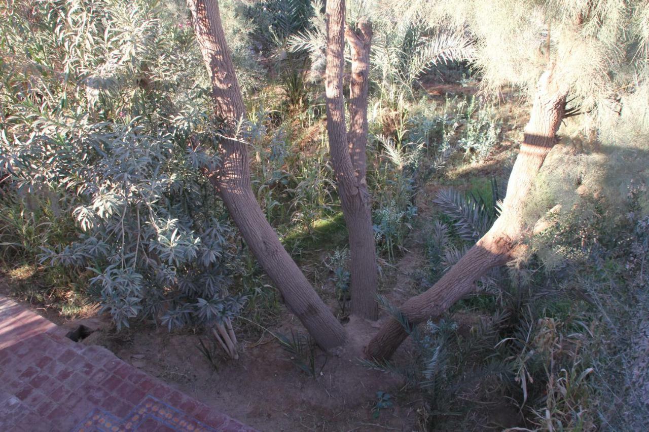 Bed and Breakfast Hamada Du Draa M'Hamid El Ghizlane Exterior foto