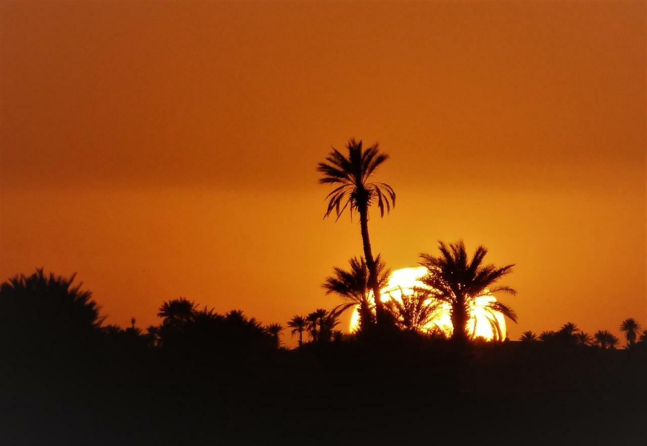 Bed and Breakfast Hamada Du Draa M'Hamid El Ghizlane Exterior foto