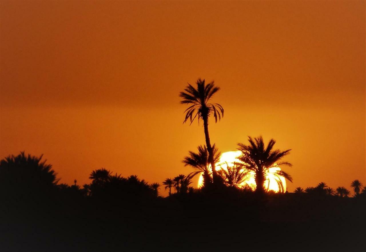 Relais Hamada Du Draa Bed and Breakfast M'Hamid El Ghizlane Exterior foto